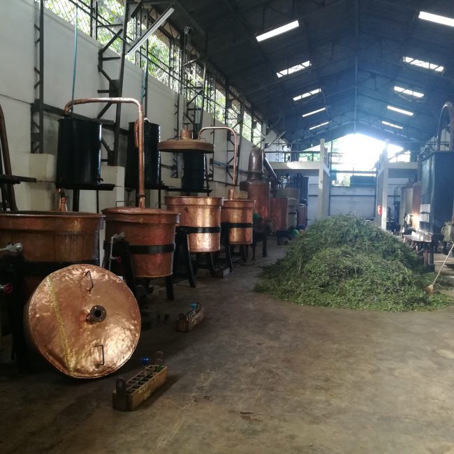 Essential oil production facility in Nosy Be, DIANA Region, Madagascar