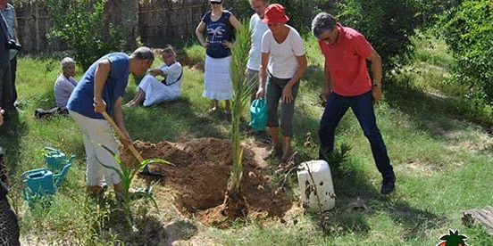 tunisie-la-terre-du-bio